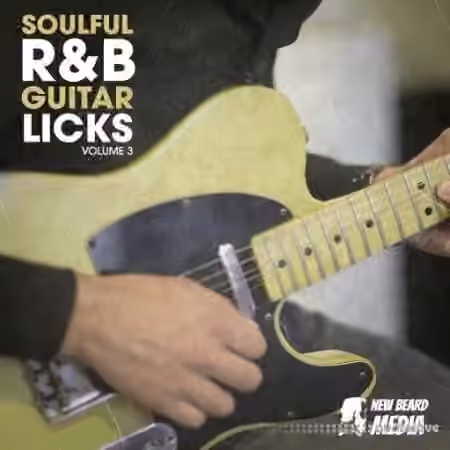 New Beard Media Soulful RnB Guitar Licks Vol.3 [WAV] - Sample Pack Artwork