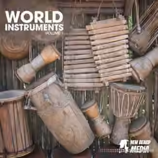 New Beard Media World Instruments Vol 1 [WAV]