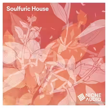 Niche Audio Soulfuric House 2 - Sample Pack Artwork