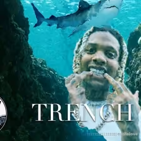 Nile Waves Trench Punch Vol.1 [MiDi]