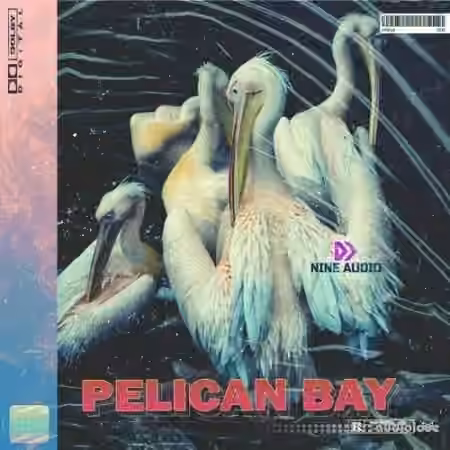 Nine Audio Pelican Bay [WAV] - Sample Pack Artwork