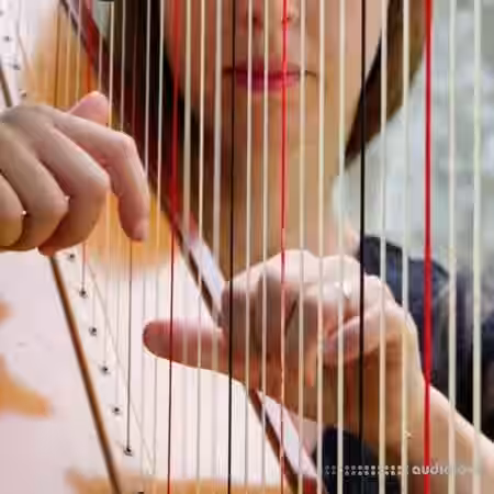 noiiz Harmonious Harps by Aur0ra [WAV] - Sample Pack Artwork