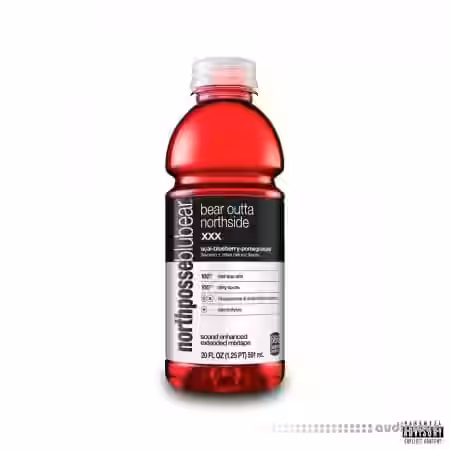 North Posse Bear Outta Northside 1 Drum Kit [WAV, DAW Templates] - Sample Pack Artwork