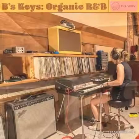 Nu.Wav Bs Keys Organic RnB [WAV] - Sample Pack Artwork