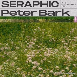 nu.wav Peter Bark - Seraphic [WAV]