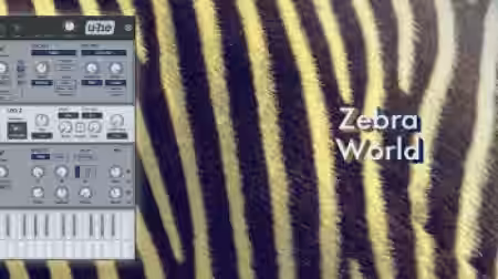 OCTO8R Zebra World [Synth Presets] - Sample Pack Artwork