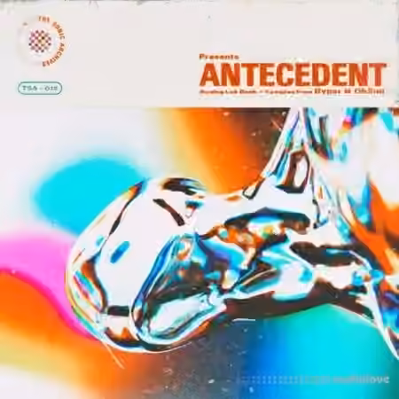 Oh2uu Antecedent [WAV, Synth Presets] - Sample Pack Artwork