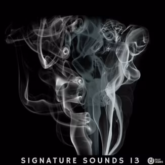 Olly James Signature Sounds Vol.13 [WAV, MiDi]