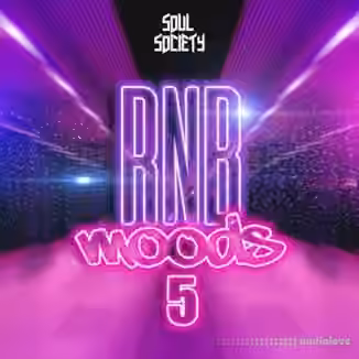 Oneway Audio RnB Moods 5 [WAV]