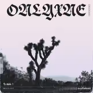 Onlyxne 808 Mafia Multi-Kit 0002 [WAV, Synth Presets]