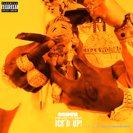 ORDUZ Iced Up! (ANALOG LAB BANK) [Synth Presets] - Sample Pack Artwork