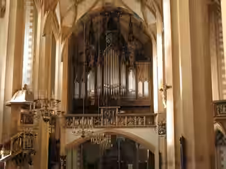 OrganArt Media 1884 1995 E.F. Walcker&Cie Eule Organ Surround [Hauptwerk]