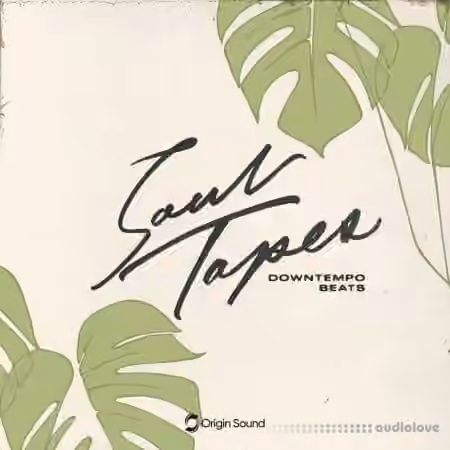 Origin Sound Soul Tapes [WAV] - Sample Pack Artwork