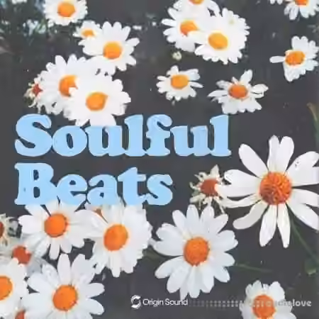 Origin Sound Soulful Beats [WAV, Synth Presets] - Sample Pack Artwork