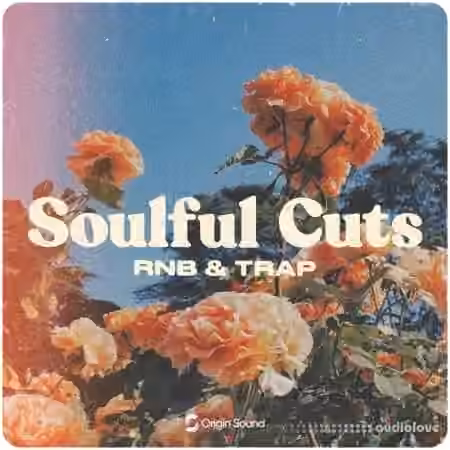 Origin Sound Soulful Cuts [WAV, Synth Presets] - Sample Pack Artwork