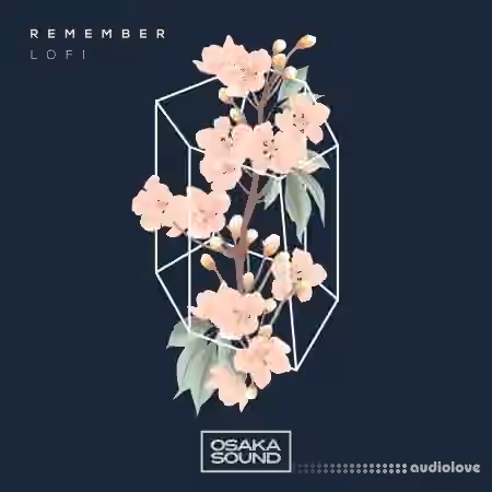 Osaka Sound Remember Lo-Fi [WAV] - Sample Pack Artwork