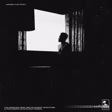 Paradise Music Library AKIRA and AAGNIK More Than Necessary (Compositions And Stems) [WAV, Synth Presets] - Sample Pack Artwork