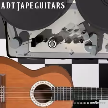 Past To Future Samples ADT Guitars [WAV] - Sample Pack Artwork