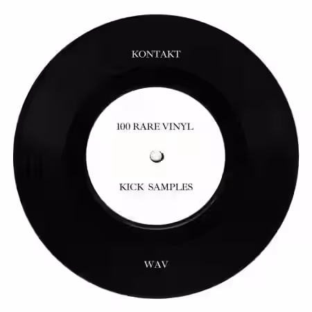 PastToFutureReverbs 100 Rare Vinyl Kick Samples [KONTAKT, WAV] - Sample Pack Artwork