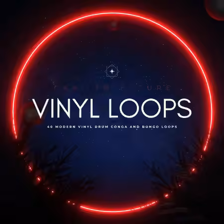 PastToFutureReverbs 40 Modern Vinyl Drum Conga and Bongo Loops! [WAV] - Sample Pack Artwork