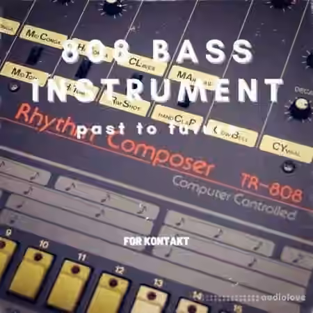 PastToFutureReverbs 808 Bass Instrument [KONTAKT] - Sample Pack Artwork