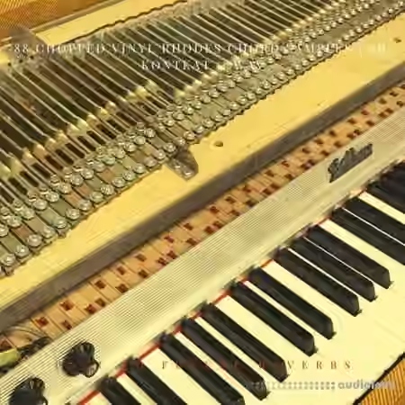 PastToFutureReverbs 88 Chopped Vinyl Rhodes Chord [KONTAKT] - Sample Pack Artwork