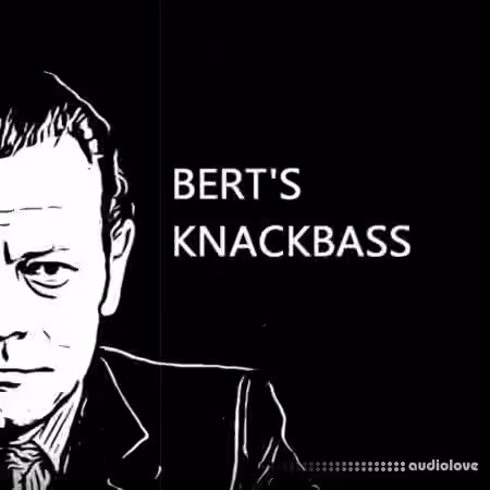 PastToFutureReverbs Bert's Knackbass [KONTAKT] - Sample Pack Artwork