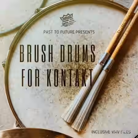 PastToFutureReverbs Brush Drums [KONTAKT] - Sample Pack Artwork