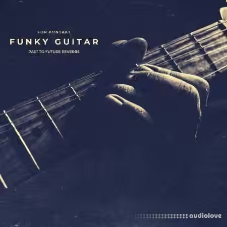 PastToFutureReverbs Funky Guitar [KONTAKT] - Sample Pack Artwork