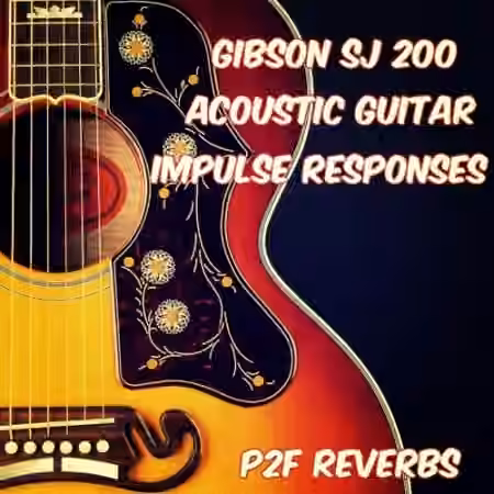 PastToFutureReverbs Gibson SJ 200 and Taylor 314CE Acoustic Guitar Profiles For Kemper! - Sample Pack Artwork