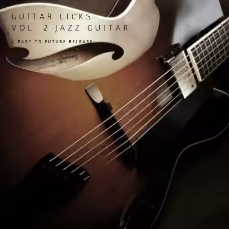 PastToFutureReverbs Guitar Licks Vol.2 Jazz Guitar For Kontakt! [KONTAKT] - Sample Pack Artwork