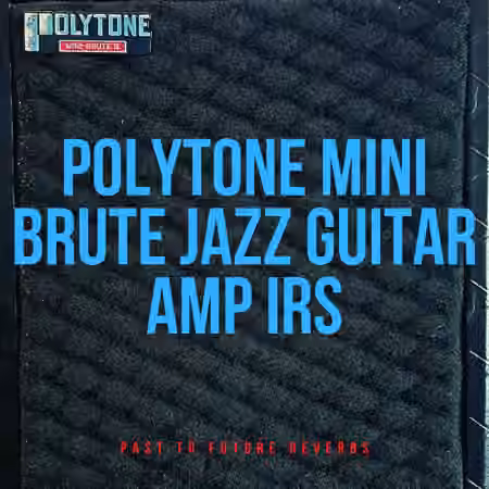 PastToFutureReverbs Polytone Mini Brute Jazz Guitar Amp IR's!