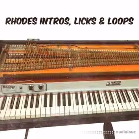 PastToFutureReverbs Rhodes Intros Licks and Loops [WAV, REX] - Sample Pack Artwork