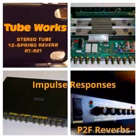 PastToFutureReverbs Tubeworks RT-921 Stereo Tube 12 Spring Reverb! - Sample Pack Artwork