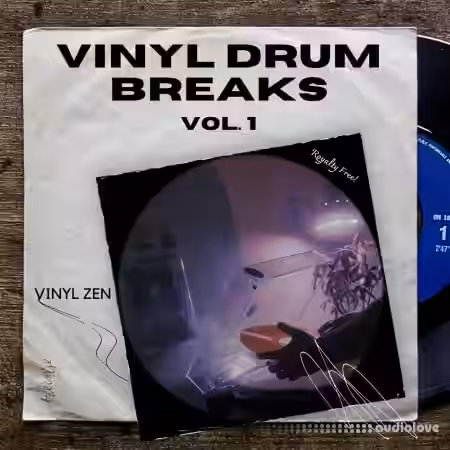 PastToFutureReverbs Vinyl Drum Breaks Vol.1 [WAV] - Sample Pack Artwork