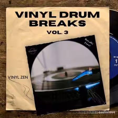 PastToFutureReverbs Vinyl Drum Breaks Vol.3 [WAV] - Sample Pack Artwork