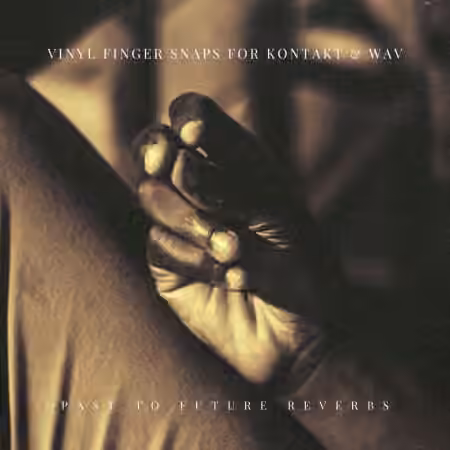 PastToFutureReverbs Vinyl Finger Snaps [KONTAKT, WAV] - Sample Pack Artwork
