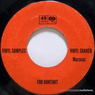 PastToFutureReverbs Vinyl Shaker (Maracas) [KONTAKT]