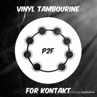 PastToFutureReverbs Vinyl Tambourine [KONTAKT]