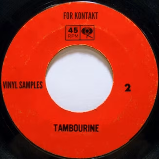 PastToFutureReverbs Vinyl Tambourine Vol.2 For Kontakt! [KONTAKT]