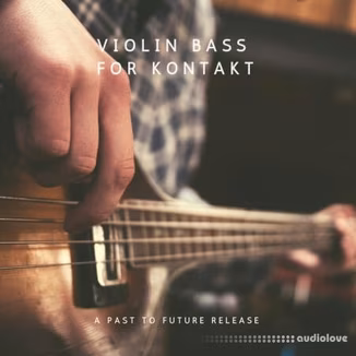 PastToFutureReverbs Violin Bass [KONTAKT]