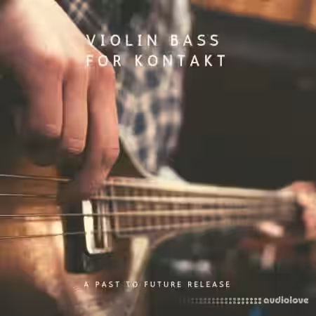 PastToFutureReverbs Violin Bass [KONTAKT] - Sample Pack Artwork