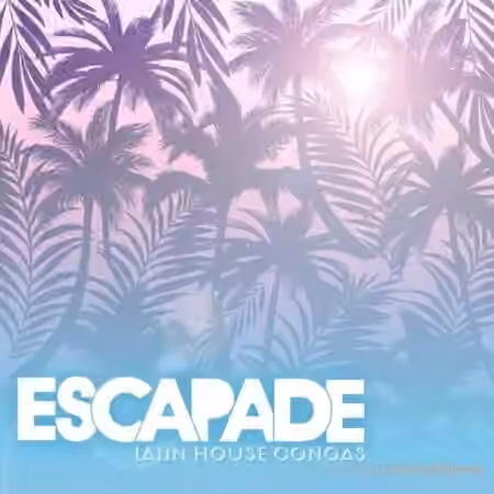 Patchbanks Escapade [WAV] - Sample Pack Artwork