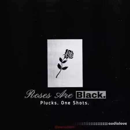 Paul Cabbin Roses Are Black (Sample Pack) [WAV] - Sample Pack Artwork