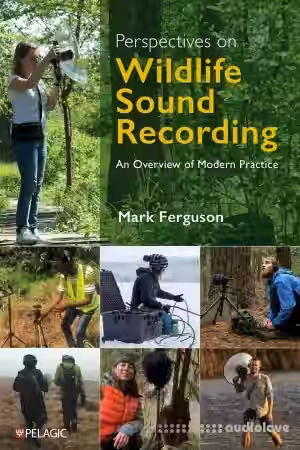 Perspectives on Wildlife Sound Recording: An Overview of Modern Practice