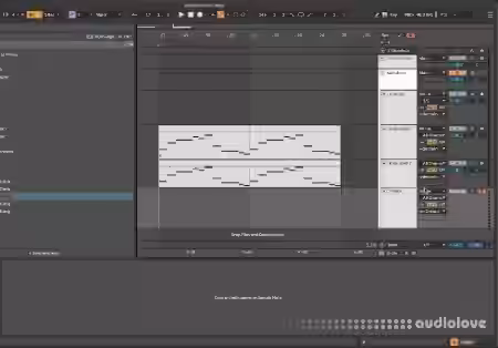 phritz The Chord Rack MIDI Preset [Synth Presets] - Sample Pack Artwork