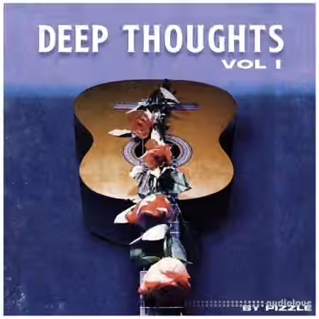 Pizzle Deep Thoughts VOL I [WAV] - Sample Pack Artwork
