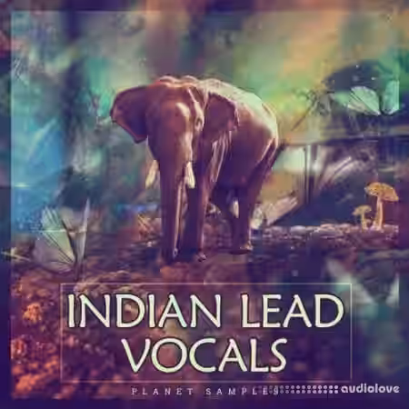 Planet Samples Indian Lead Vocals [WAV] - Sample Pack Artwork