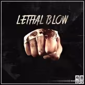 PMSFX Lethal Blow [WAV]
