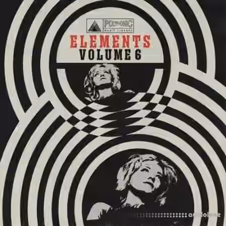 Polyphonic Music Library The Polyphonic Elements Vol.6 [WAV]